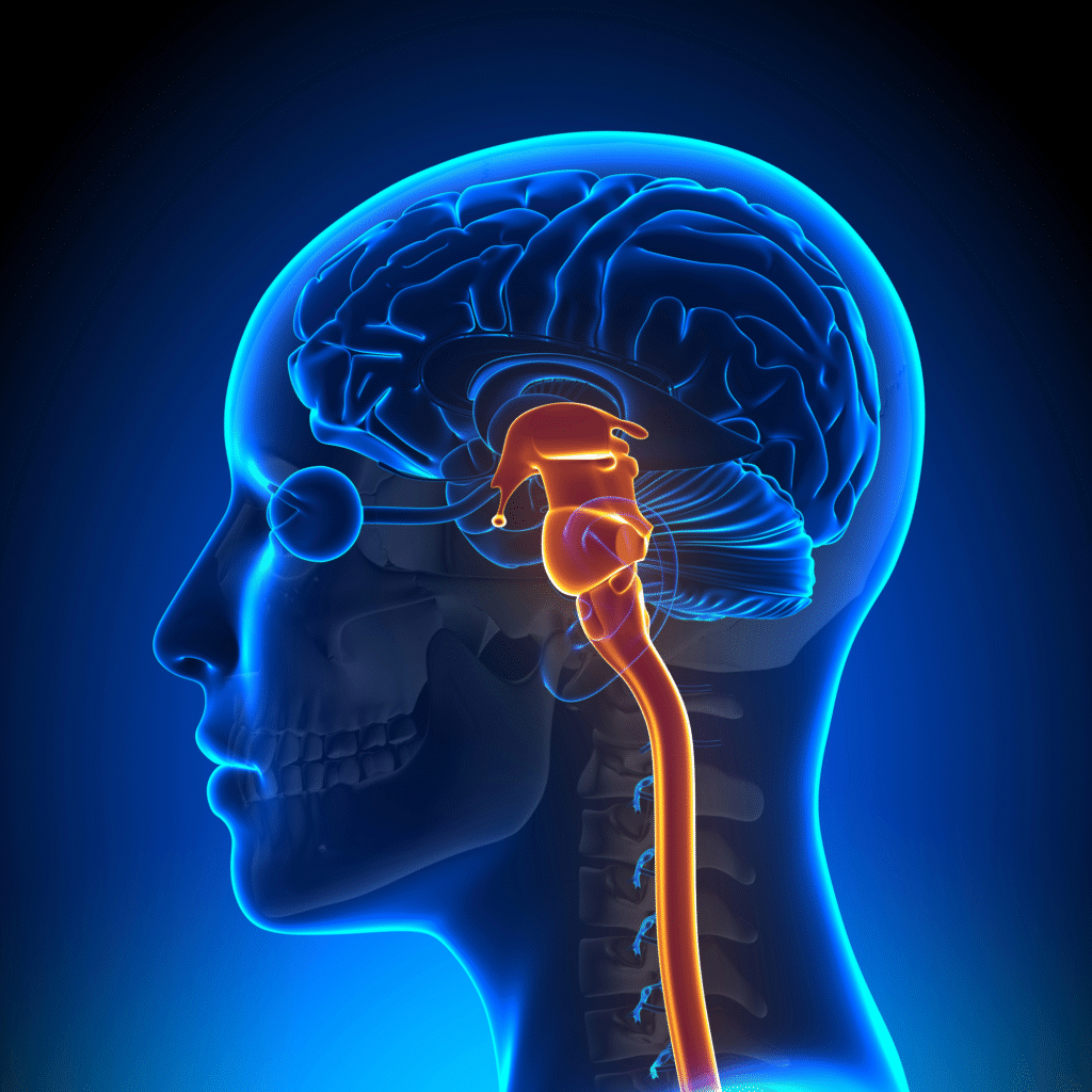 सर्दियों का मौसम: मानसिक स्वास्थ्य को कैसे रखें मजबूत? विशेषज्ञों की सलाह