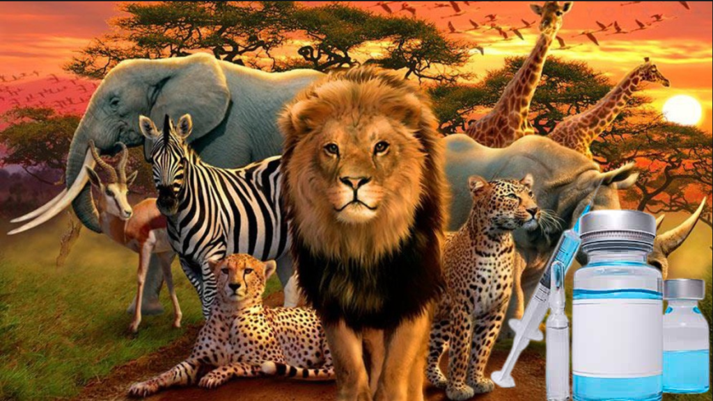 “2 बड़े फैसले: हर जिले में वन्यजीव नसबंदी केंद्र, ₹5 करोड़ से सोलर फेंसिंग व सेंसर अलर्ट सिस्टम – सीएम धामी”