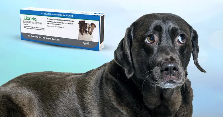 “5 करोड़ का बड़ा प्लान: हर जिले में वन्यजीव नसबंदी केंद्र, मानव-वन्यजीव संघर्ष पर सीएम धामी का 4-स्तरीय एक्शन”