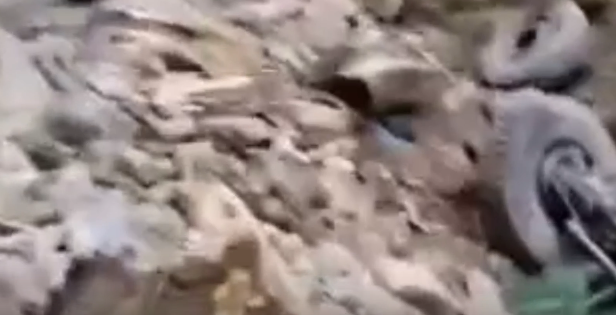 जम्मू-कश्मीर के डोडा में दिल दहला देने वाली दुर्घटना: सेना का वाहन 200 फीट गहरी खाई में गिरा, 10 जवान शहीद, 7 घायल