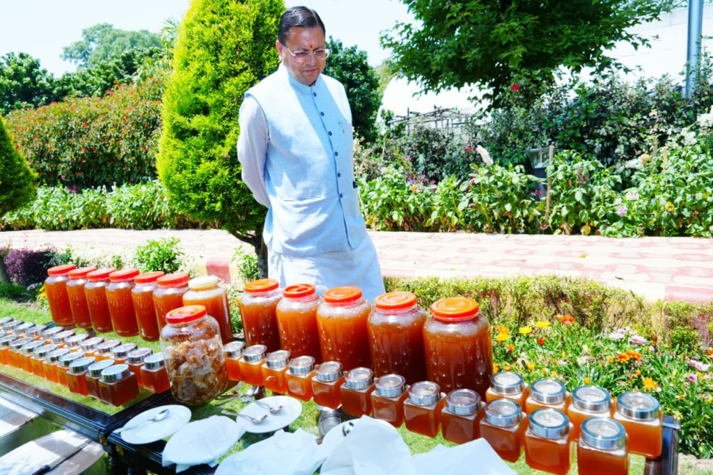 Beekeeping at Chief Minister's residence 45 दिनों में 520 किलो शहद: मुख्यमंत्री आवास में मधुमक्खी पालन का मॉडल, राज्यभर में विस्तार की तैयारी