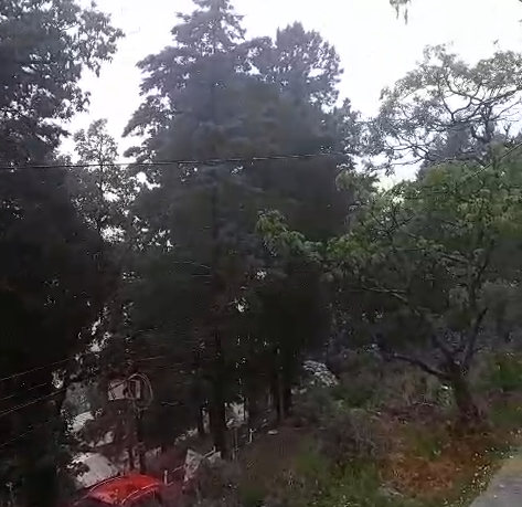 The weather changed in Nainital : नैनीताल में मौसम ने बदला मिजाज: तेज हवाओं के साथ मूसलाधार बारिश, जनजीवन अस्त-व्यस्त