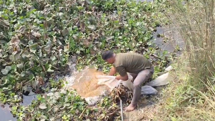 Police Launch Major Crackdown on Liquor Mafia लखीमपुर खीरी में शराब माफियाओं पर पुलिस का बड़ा प्रहार मझगई थाना पुलिस ने भारी मात्रा में कच्ची शराब और लहन बरामद कर भट्टियां ध्वस्त कीं