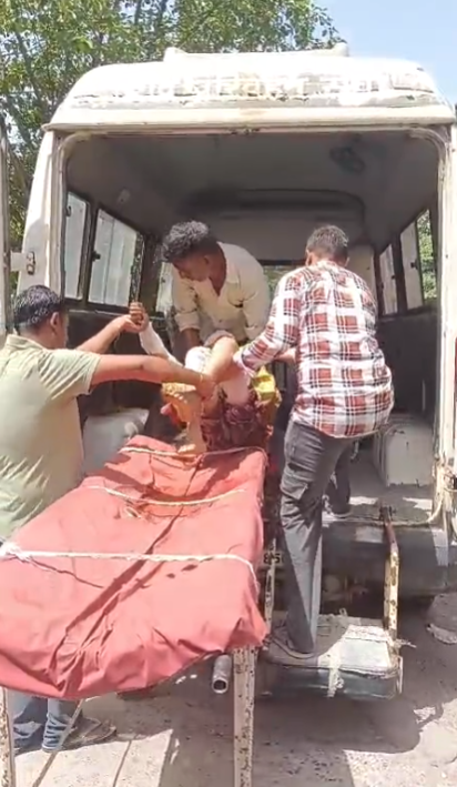 Girl dies in stray dog ​​attack : आवारा कुत्तों के हमले में 11 वर्षीय बच्ची की दर्दनाक मौत...