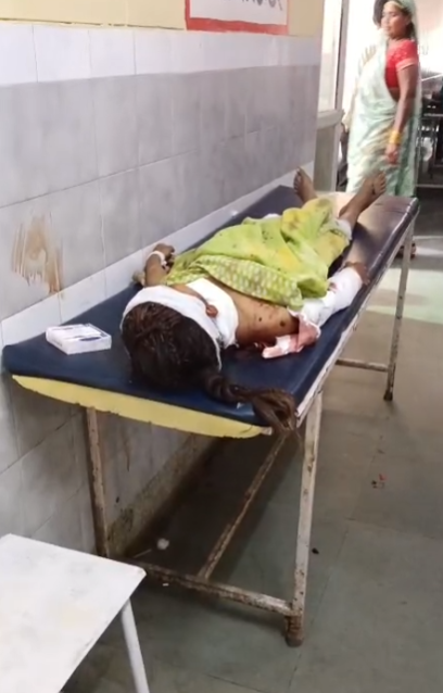 Girl dies in stray dog ​​attack : आवारा कुत्तों के हमले में 11 वर्षीय बच्ची की दर्दनाक मौत...
