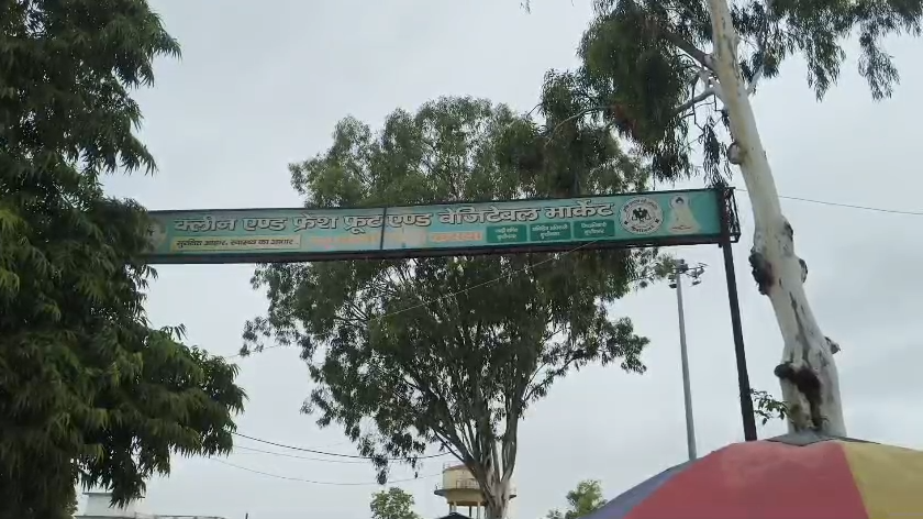 Rain exposed the poor condition of the Kasia vegetable market : बारिश ने खोली कसया सब्जी मंडी की बदहाल व्यवस्था की पोल, जलभराव से व्यापार प्रभावित, व्यापारियों ने दी आंदोलन की चेतावनी