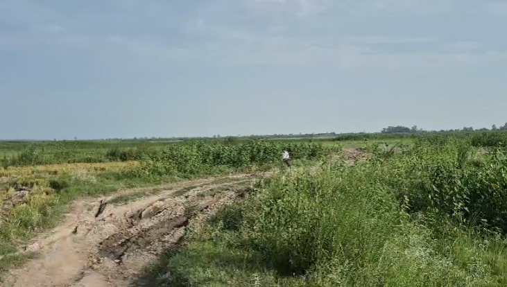 Villagers from 8 villages yearn for a road in Gadarpur : गदरपुर में सड़क के लिए तरस रहे 8 गांवों के ग्रामीण, 15 साल से समस्या बरकरार; बरसात में कट जाता है संपर्क