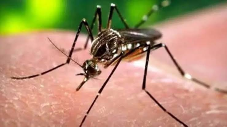 यूपी में बारिश का डबल अटैक: 81 मौतों के बाद अब बीमारियों का खतरा, डेंगू-मलेरिया को लेकर स्वास्थ्य विभाग अलर्ट